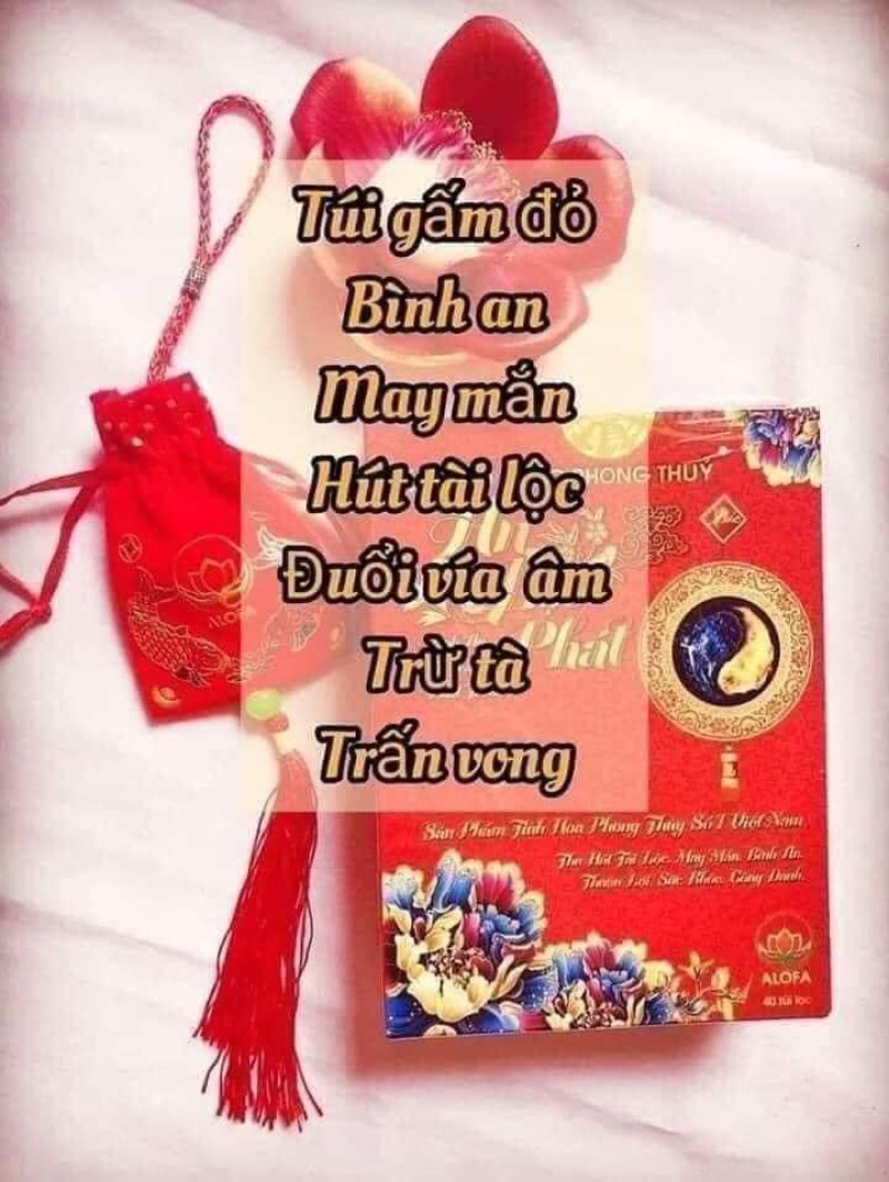 COMBO 5 HỘP BỘT PHONG THỦY ALOFA VIỆT NAM