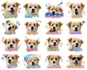 icon dog cute