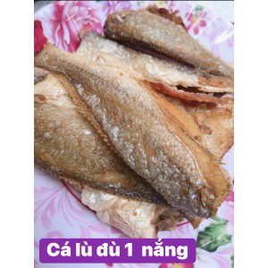CÁ LÙ ĐÙ 1 NẮNG CẦN GIỜ
