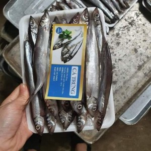 CÁ TRỨNG NAUY - 1KG