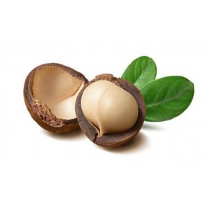 HẠT MACCA - THƠM NGON - BỔ DƯỠNG - 500GR
