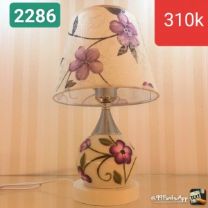 Đèn  ngủ trang trí 2286
