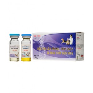 THUỐC ĐẶC TRỊ TIÊU CHẢY CHÓ MÈO – ỈA MÁU TƯƠI CHÓ MÈO - BIO COLICOX