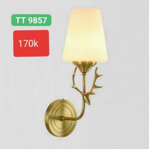 Đèn  ngủ trang trí TT9857