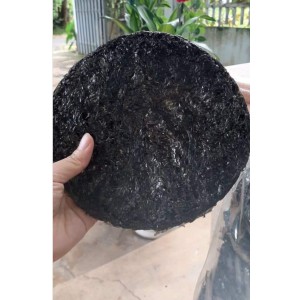 Combo Rong sấy, tắc xí muội