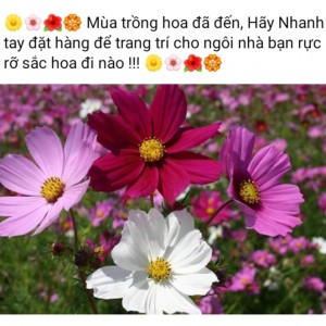 Hạt hoa