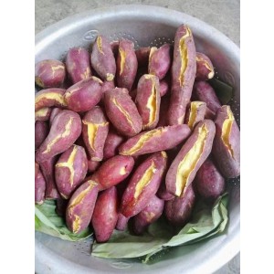 KHOAI LANG NHẬT RUỘT VÀNG