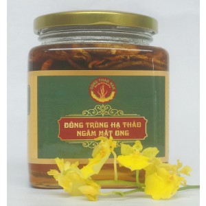 ĐÔNG TRÙNG HẠ THẢO NGÂM MẬT ONG
