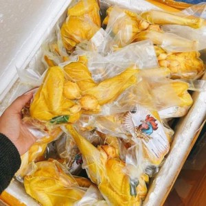 GÀ Ủ MUỐI ÔM TRỨNG