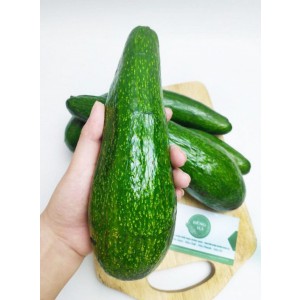 Bơ ĐắcLắc