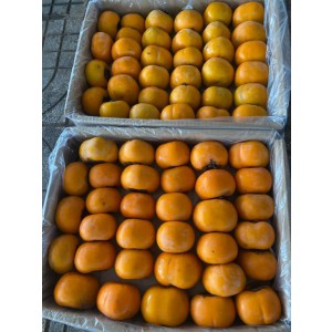 HỒNG GIÒN