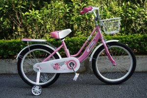 Xe đạp JVC Princess 20