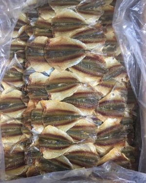 CÁ CHỈ VÀNG