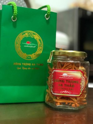 Đông trùng hạ thảo khô 10gram