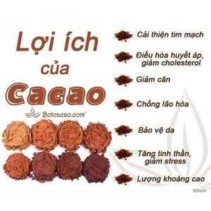 ?? BỘT CACAO ĐẮC LẮC??