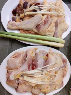Gà mái ri tơ Mạnh Hoạch