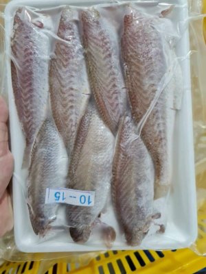 KHÔ CÁ LÙ ĐÙ 1 NẮNG