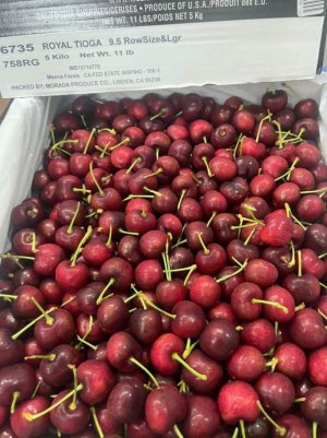 CHERRY MỸ