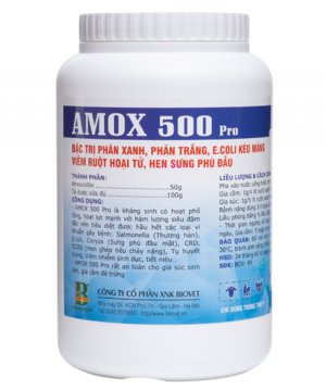 AMOX 500 PRO – ĐẶC TRỊ PHÂN XANH PHÂN TRẮNG – ECOLI KÉO MÀNG - HỘP 1kG (10 GÓI)