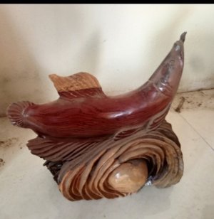 Cá rồng Tài phát