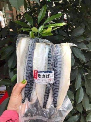 CÁ THU NHẬT PHILE