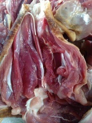 THỊT ĐÙI GÀ TÂY LỌC XƯƠNG
