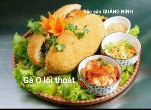 ??GÀ KHÔNG LỐI THOÁT??