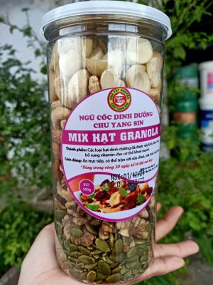 Hạt ngũ cốc mix granola