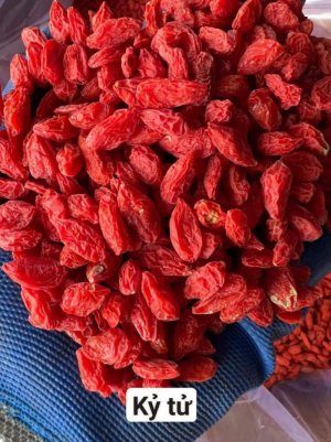 1 kg Kỷ tử