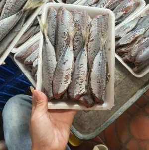 CÁ NỤC LỘT DA 1 NẮNG