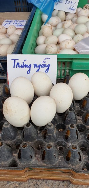 Trứng ngỗng (1 quả)