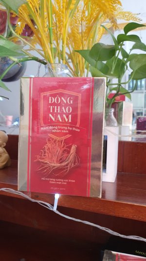 Đông thảo nam