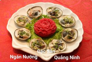 ?? NGÁN NƯỚNG ĐẶC SẢN QUẢNG NINH ??