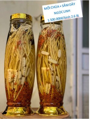 RƯỢU MỐI CHÚA SÂM DÂY NGỌC LINH