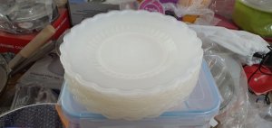 Đĩa nhựa thông dụng( 10 chiếc)