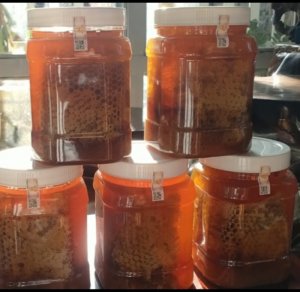Mật ong sap Tây nguyên