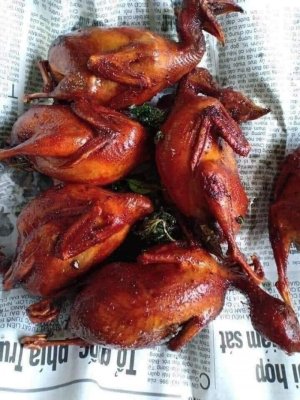 CHIM CÚT QUAY LÁ MÓC MẬT