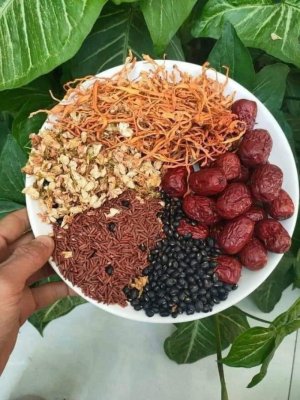 TRÀ GẠO LỨT ĐÔNG TRÙNG HẠ THẢO