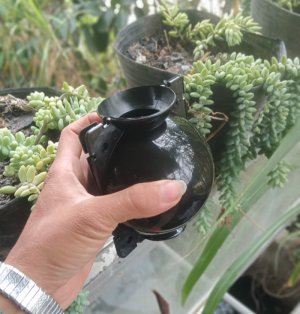 Dụng cụ chiết cành cây