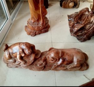Nhị hợp