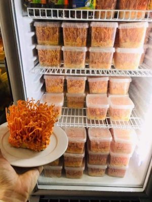 Đông Trùng Hại Thảo Tươi 200g