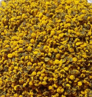 Trà Hoàng Cúc Vàng Loại I Sấy Bằng Máy(1 Kg)