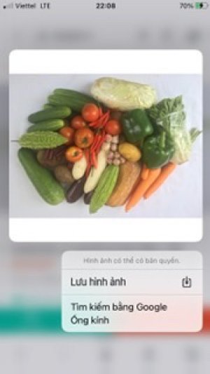 Combo rau củ quả các loại