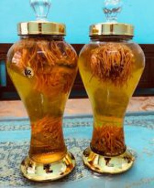 Bình rượu ngâm đông trùng hạn thảo Công ty TNHH Công nghệ Vĩnh Khang - 0982999669