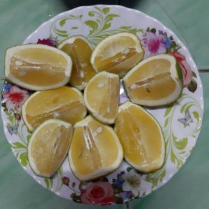 CAM XOÀN ( CAM 2 ĐỒNG TIỀN )