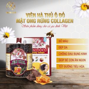 Hà thủ ô đỏ mật ong