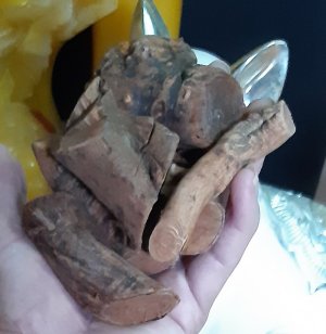 Cây mứ từn