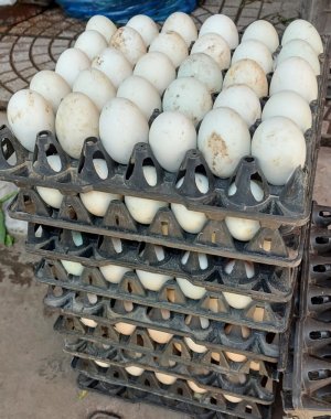 Trứng vịt quê( 10 quả)