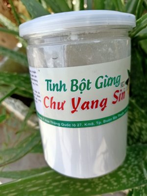 Tinh bột gừng