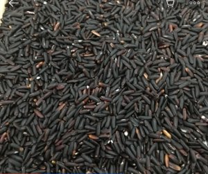 Gạo lứt den Điện Biên
